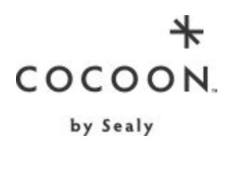 Cocoon By Sealy Bed Mattress Review