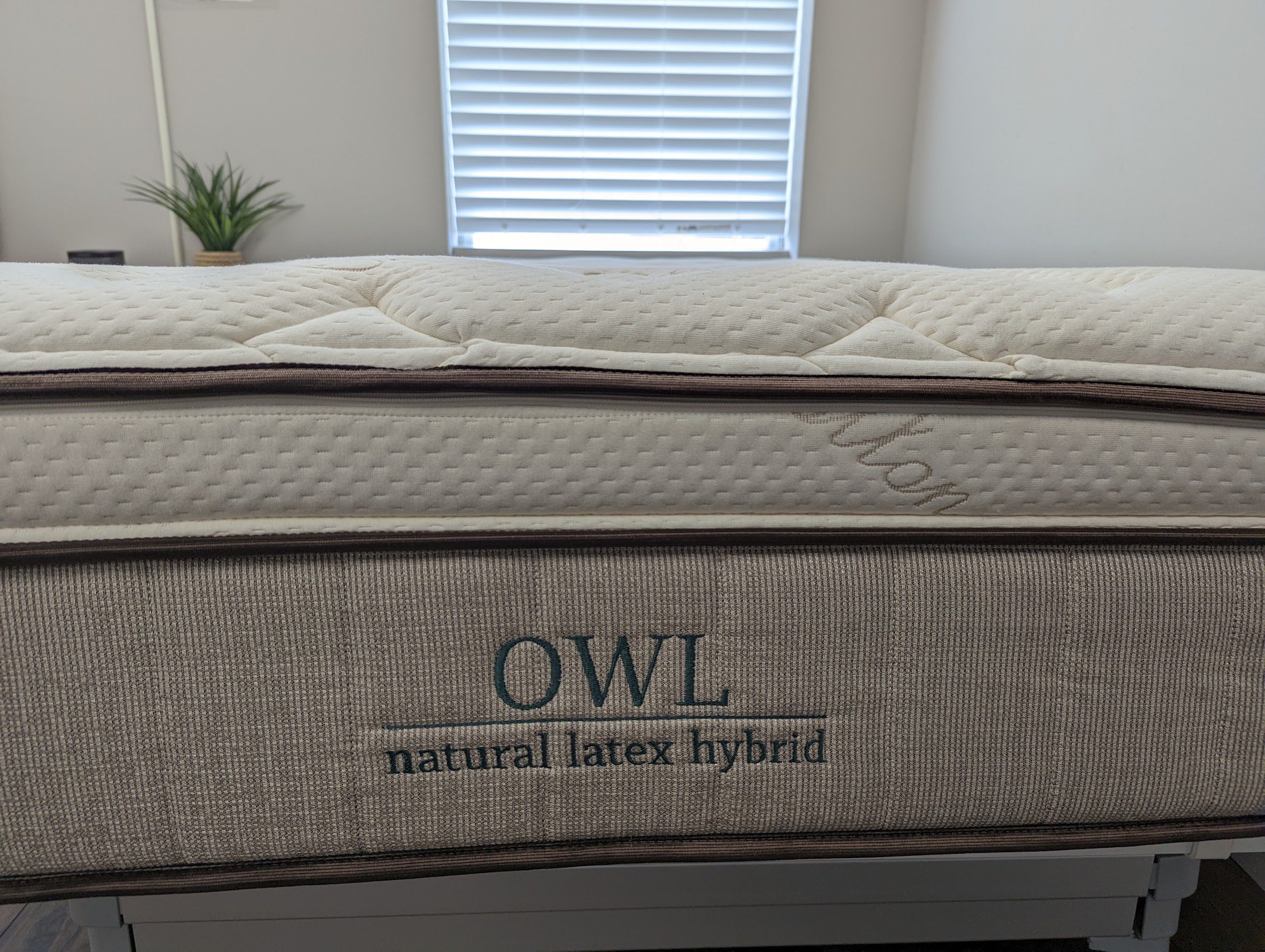 Nest Owl Hybrid Latex Review