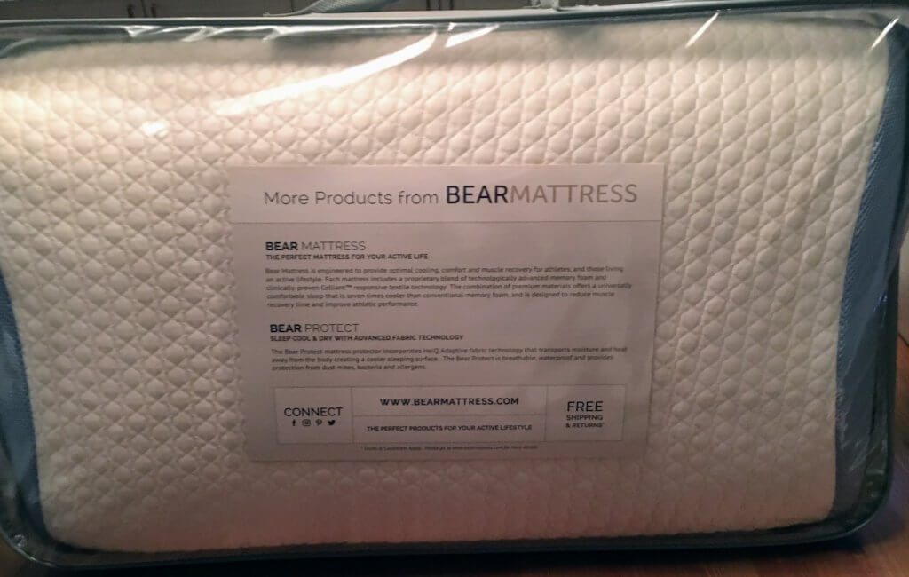 Bear Pillow case