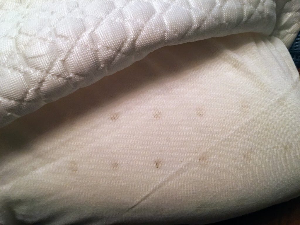 Inside of bear pillow