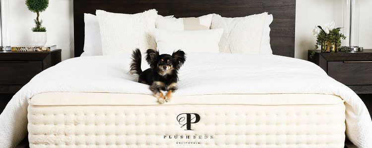 plushbeds review